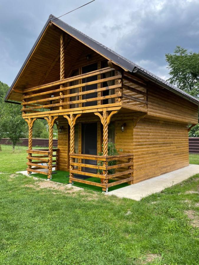 Pensiunea Felyviss Albac Exterior photo