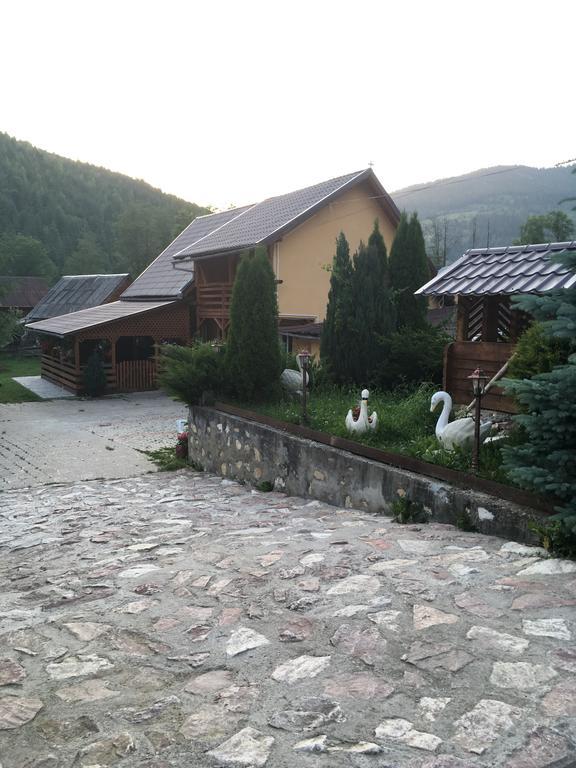 Pensiunea Felyviss Albac Exterior photo